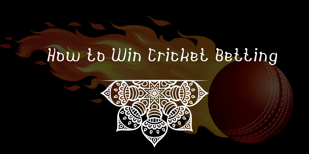 How to Win Cricket Betting