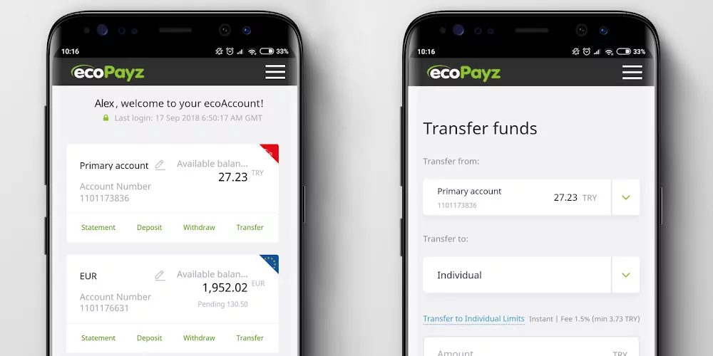 ecopayz mobile app